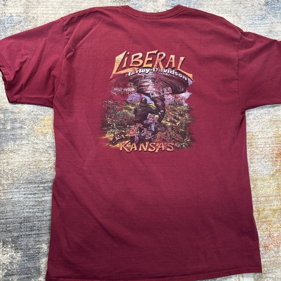 Vintage Harley-Davidson 2XL Faded Grunge Y2K Streetwear Skater Workwear - Picture 14 of 14